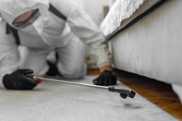 Professional Termite Control technician working in Lake Mathews, CA